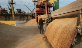 Рост экспортных цен на зерно в России замедлился – обзор